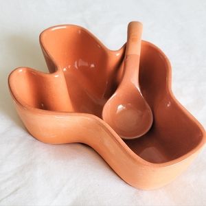Terra cotta cactus dish & spoon🌵